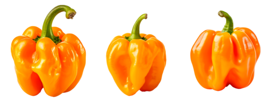 Three vibrant yellow bell peppers isolated on a transparent background png