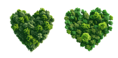Two heart shaped clusters of green trees representing love for nature png