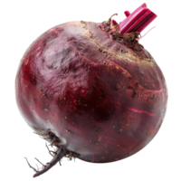 Fresh red beet isolated on transparent background for culinary use png