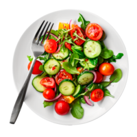 Fresh salad with cucumbers tomatoes and greens on a white plate png