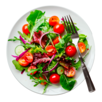 A vibrant salad with fresh vegetables and tomatoes on a white plate. png