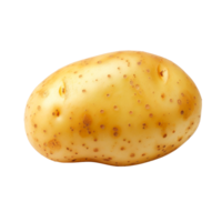 Fresh raw potato isolated on a transparent background for culinary use png