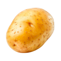 Single isolated potato on a transparent background ideal for food images png
