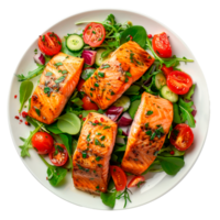 Grilled salmon fillets served with fresh salad and vegetables on a plate. png