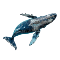 A realistic depiction of a whale swimming in the ocean. png