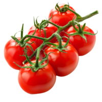 Fresh red tomatoes on the vine with green leaves and stems png