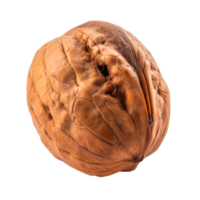 A whole walnut with a cracked shell isolated on a transparent background png