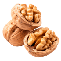 Three walnuts showcasing their shells and edible inner kernels on white background png