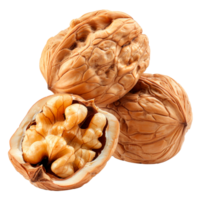 Three walnuts showcasing their shell and edible nut inside png