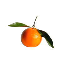 Fresh orange with vibrant color and green leaves on transparent background png