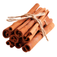 A bundle of aromatic cinnamon sticks tied with twine png