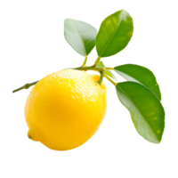 Fresh lemon with green leaves isolated on transparent background png