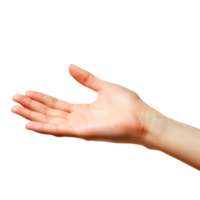 A right hand open in a gesture, showcasing fingers and palm. png