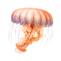 Illustration of a colorful jellyfish with flowing tentacles in water png