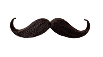 A stylish dark mustache isolated on a transparent background png