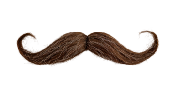 A stylish brown mustache with a curly design isolated on a transparent background. png