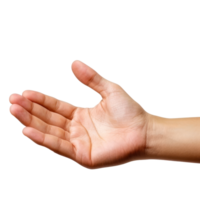 Open hand gesture on a transparent background for various uses png