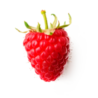 Fresh red raspberry isolated on transparent background for healthy food concepts png