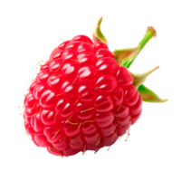 Fresh red raspberry isolated on a transparent background for culinary use png