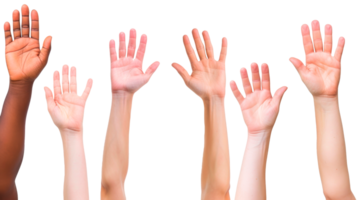 Diverse hands raised in a gesture of unity and support. png
