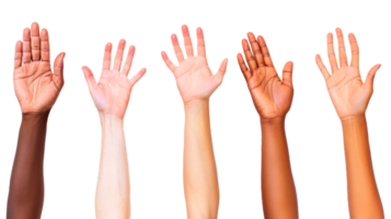 A diverse group of hands raised in unity and support png