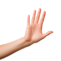 A close-up of an open hand gesture on a transparent background png