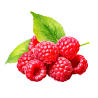 A cluster of fresh red raspberries with green leaves on a transparent background. png