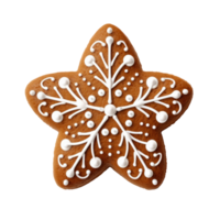 Decorative star shaped gingerbread cookie with white icing snowflake design png