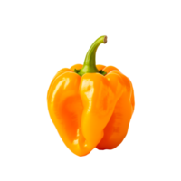 Fresh yellow bell pepper on a transparent background for culinary use png