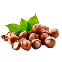 A pile of fresh hazelnuts with green leaves on a transparent background png