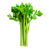 Fresh green celery stalks with vibrant leaves on a transparent background png