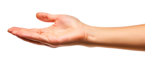 Open hand gesture with palm facing upward isolated on a transparent background png