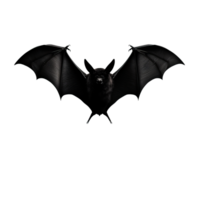 A black bat with outstretched wings isolated on a transparent background png