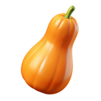 3D Render Butternut Squash Illustration png