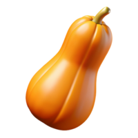 3D Render Butternut Squash Vegetable png