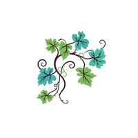 Beautiful vine design with green leaves and curls vector