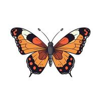 Colorful butterfly perched with outstretched wings vector