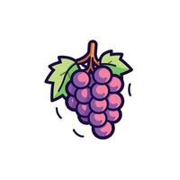 Fresh grapes hanging from a vine with leaves vector