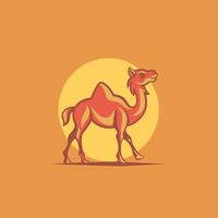 Camel walking under a warm sunset on desert sands vector