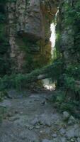 A scenic forest path surrounded by rocks video