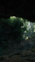 A scenic cave filled with lush trees and rugged rocks video