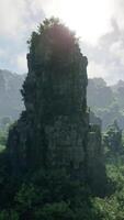 A towering structure surrounded by lush greenery in the heart of a serene forest video