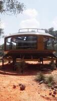 structure that seems to have grown out of the forest video