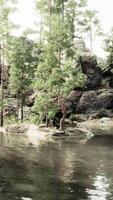 serene mountain haven, with a sparkling lake and verdant foliage video