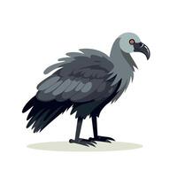 Vulture standing on ground in a simple setting vector