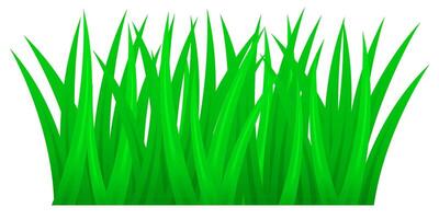 Green grass suitable for nature, summer and spring. vector