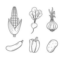 Collection of drawing vegetables in doodle style. Sketch corn potatoes pepper squash onion radish. vector