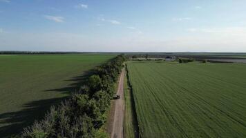 A drone flies over a country road that runs through a vast, green field video
