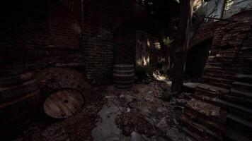 Abandoned cellar with barrels and natural light filtering through cracks video