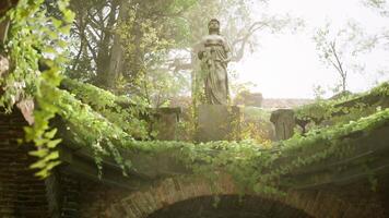 Moss covered ruins with a statue surrounded by lush greenery in sunlight video
